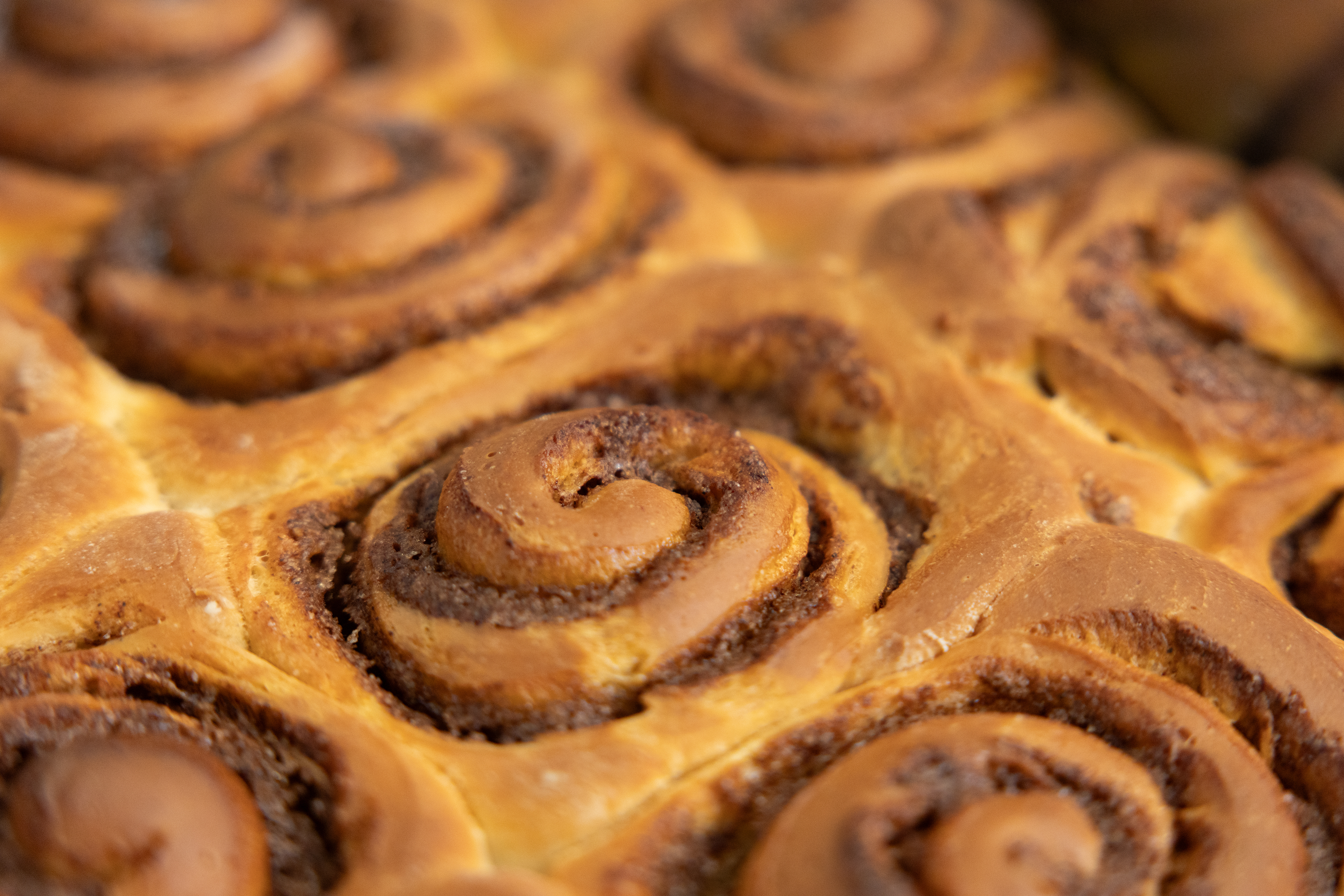 Nahaufnahme von frisch gebackenen Zimtschnecken